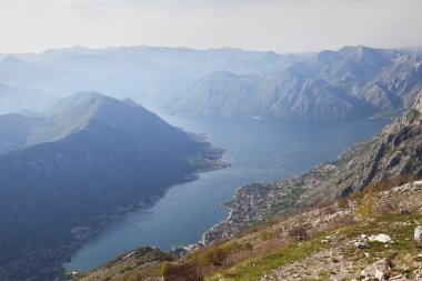 Kotor Körfezi