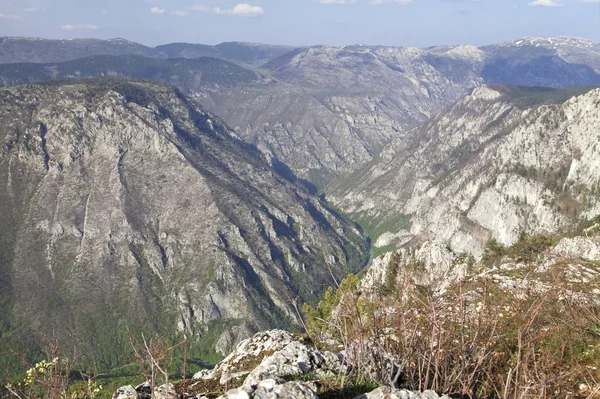 Каньон реки Тары, Черногория — стоковое фото