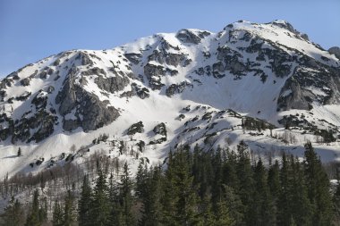 Milli Parkı Durmitor, Sırbistan