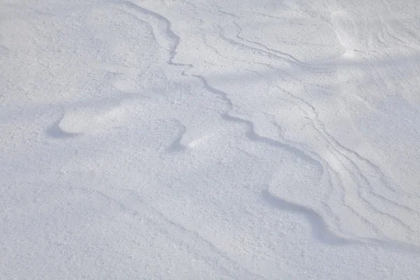 Crosta de neve — Fotografia de Stock