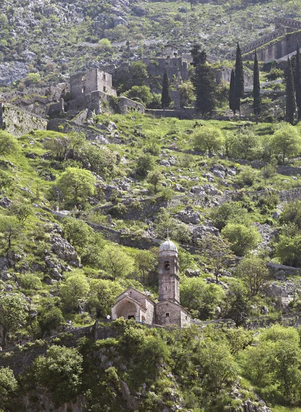 Ruinerna av fästningen över Kotor — Stockfoto