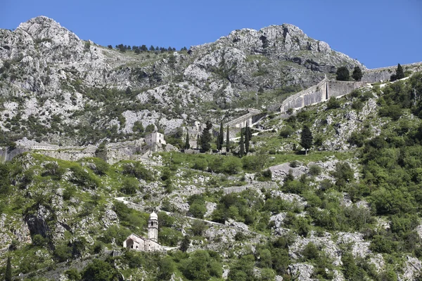 Ruinas de la fortaleza sobre Kotor — Foto de Stock