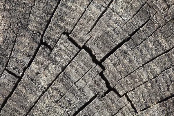 Abstract cracked wood — Stock Photo, Image