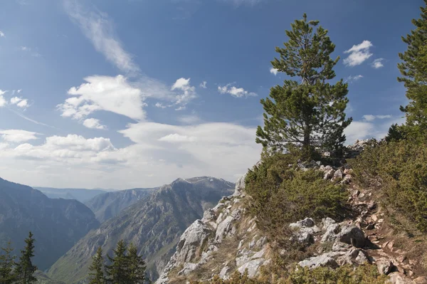 Cañón del río Tara, Montenegro — Foto de Stock