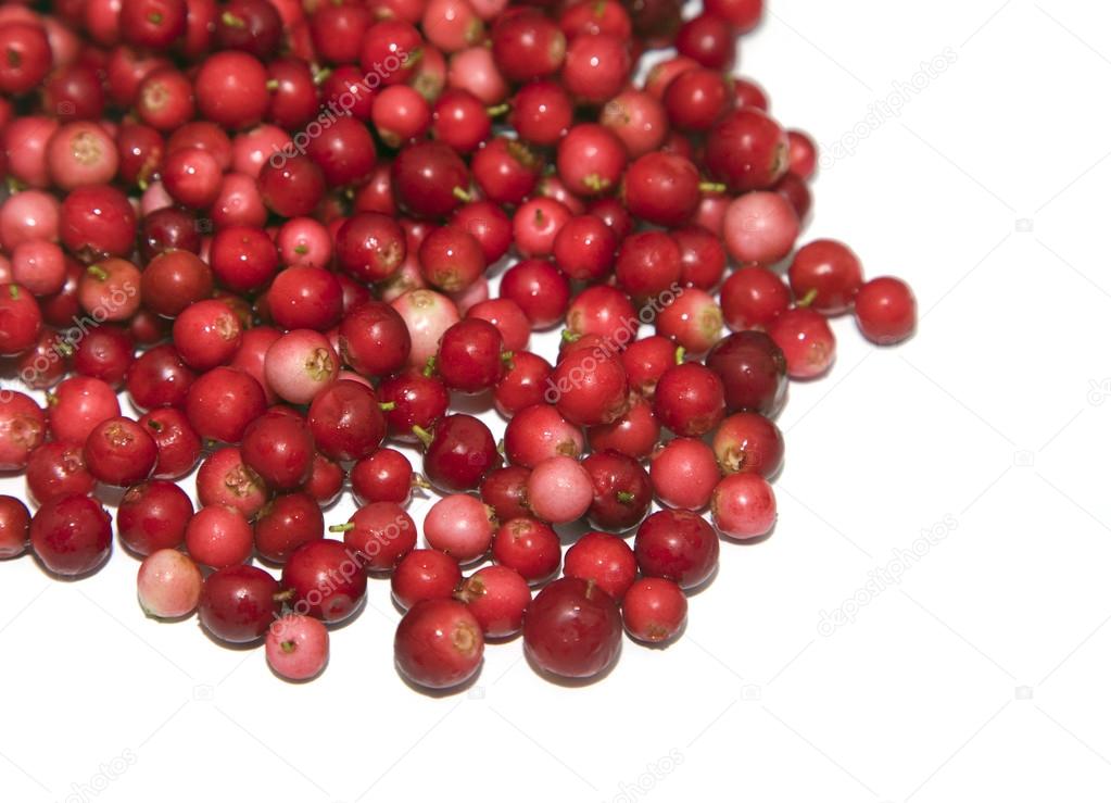 Heap of cranberry