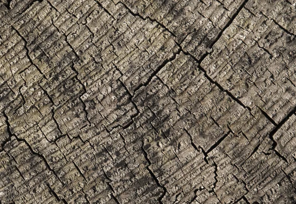 Abstracte gebarsten hout — Stockfoto