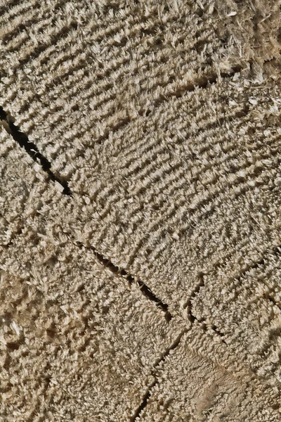 Abstract cracked wood — Stock Photo, Image