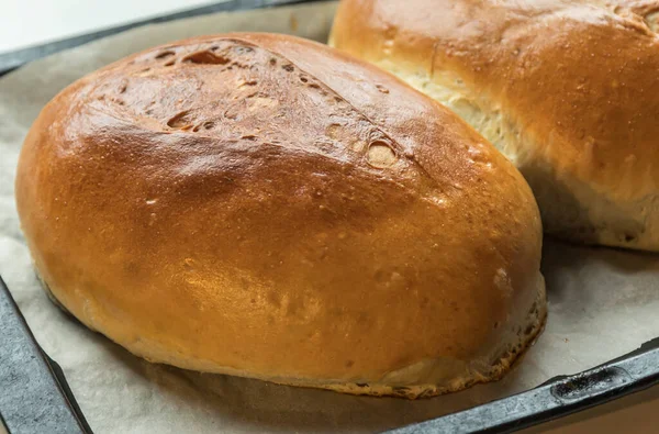 Fluffy Yeast Buns Baking Sheet — Stock Photo, Image