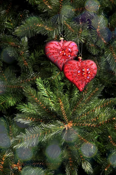 Weihnachtsbaum — Stockfoto