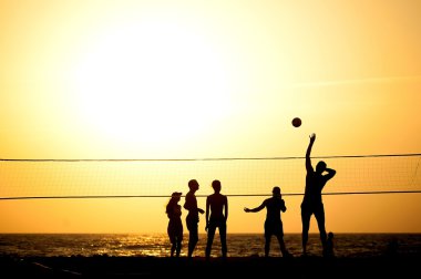 Voleybol 