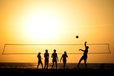 Voleybol 