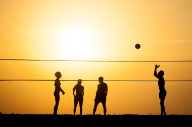 Voleybol 