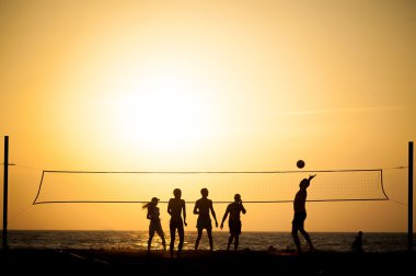 Voleybol 