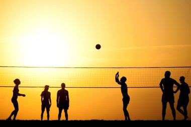 Voleybol 