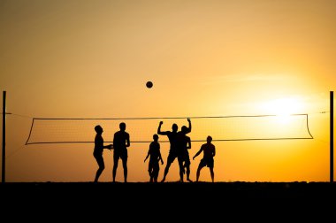 Voleybol 