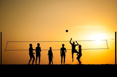 Voleybol 