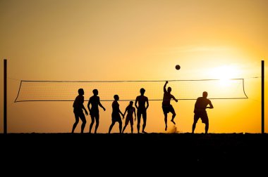 Voleybol 