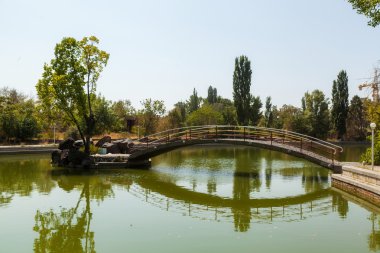 Şehir Parkı gölde köprüde