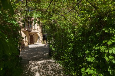 Arch lideri bir dedikodu tarafından örgülü 