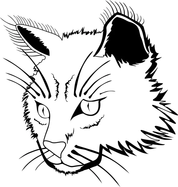 Cara de gato — Vector de stock