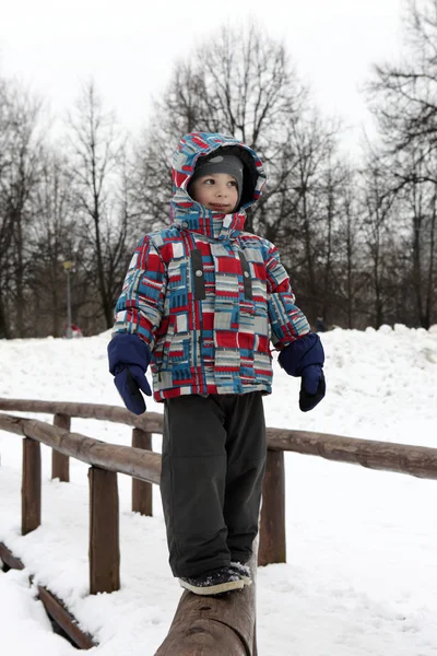 Niño de pie sobre un tronco — Foto de Stock