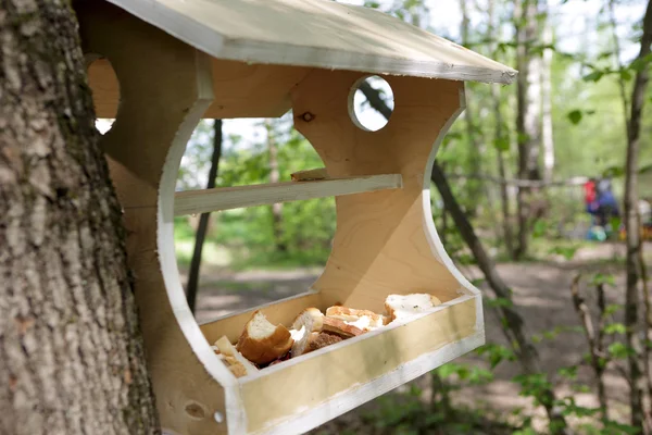 Bird feeder with bread — Stock Photo, Image