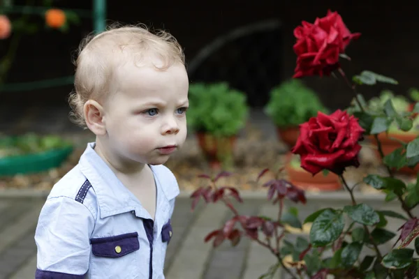 Toddler next to roses — Stock Photo, Image