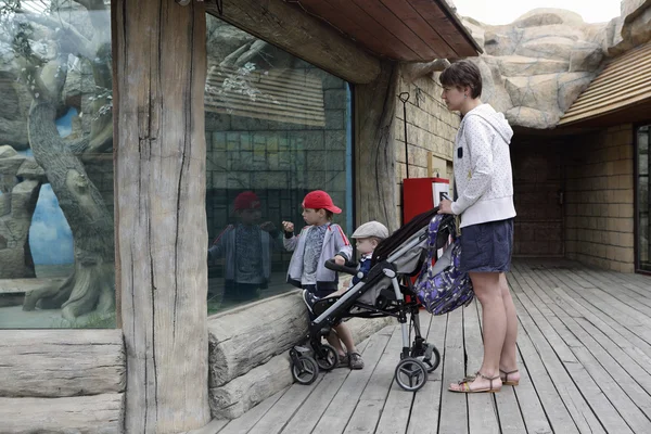 Mamma med två söner i zoo — Stockfoto