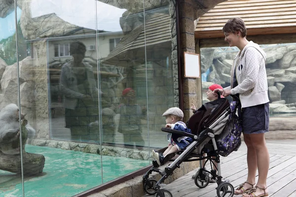 Mother and two sons in zoo — Stock Photo, Image