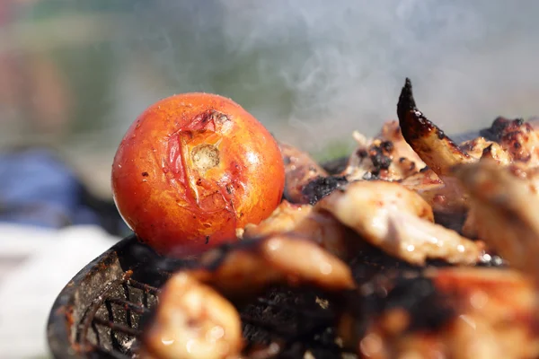 チキンの翼およびトマトの料理 — ストック写真