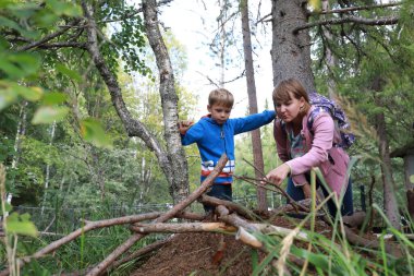Anne ve oğlu Rusya 'daki Karelya ormanındaki karınca yuvasını inceliyor.