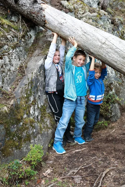 Dzieci Próbujące Podnieść Pień Drzewa Lesie Karelia — Zdjęcie stockowe