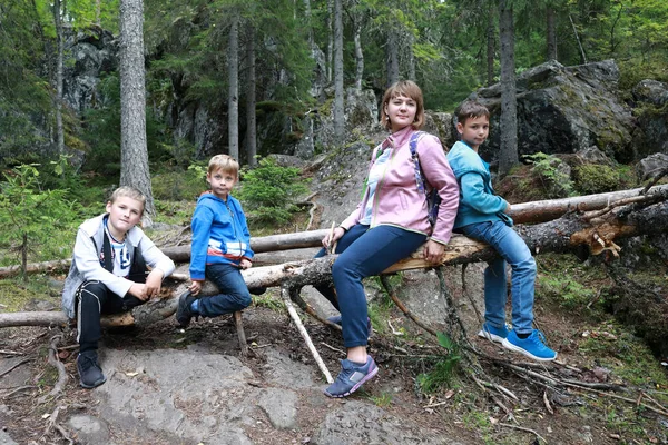 Anne ve oğulları ormanda ağaç gövdesinde oturuyorlar, Karelia.