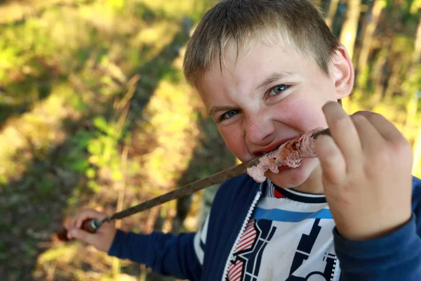 Garçon Manger Saucisse Sur Une Brochette Dans Forêt Carélie — Photo