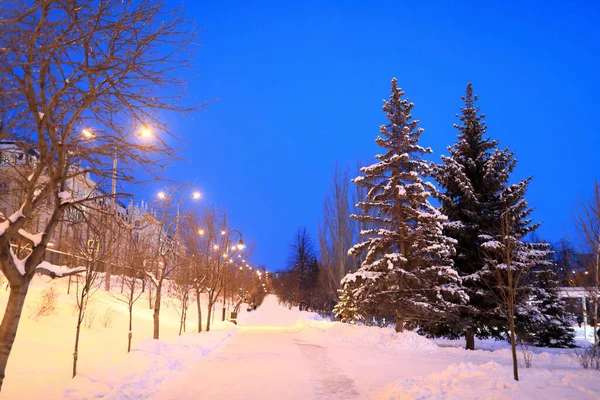 Vista Parque Lago Preto Kazan Inverno Noite — Fotografia de Stock
