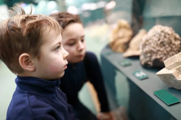 Curiosité Enfants Regardant Les Minéraux Dans Musée — Photo