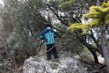 İlkbaharda Bolgatura Dağı 'nda Kid' in Portresi
