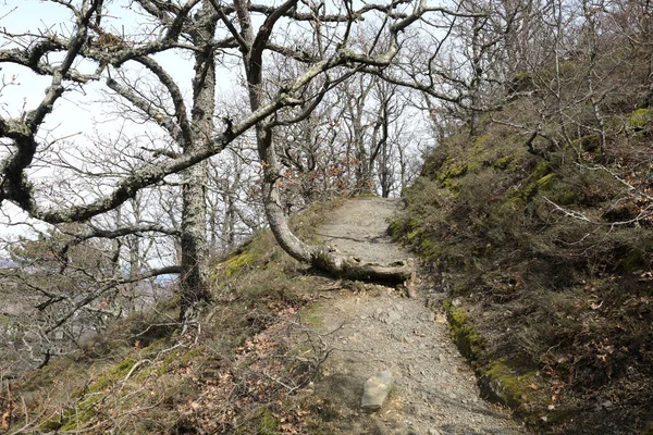 Paisagem Trilha Urso Montanha Primavera Crimeia — Fotografia de Stock