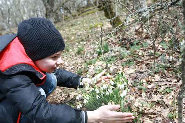 Bambino Che Tocca Bucaneve Montagna Orso Primavera Crimea — Foto Stock