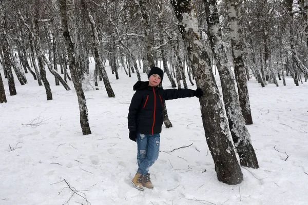 Child Birch Grove Petri Mountain Peak Spring — Stock Photo, Image