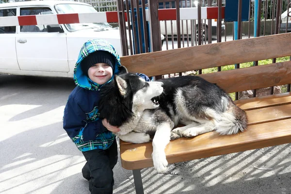 Child Posing Dog Bench Spring — Stock Photo, Image