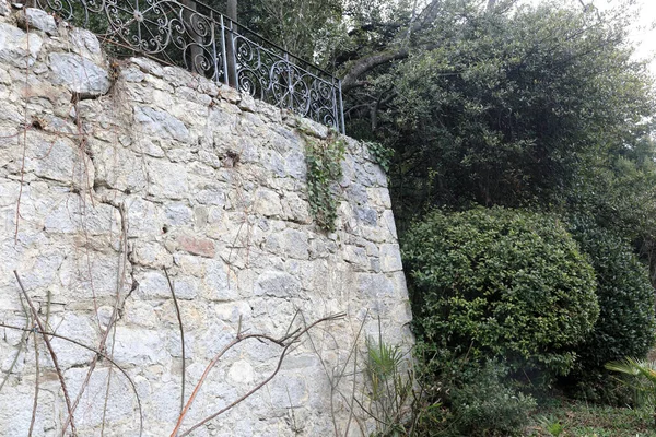 Nikitsky Botanik Bahçesinde taş duvar, Kırım