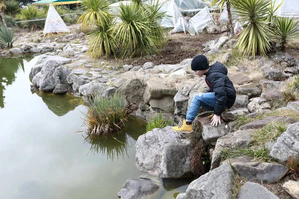 Barn Stranden Damm Nikitskijs Botaniska Trädgård Krim — Stockfoto