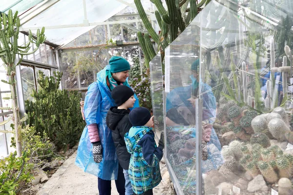 Mutter Mit Söhnen Gewächshaus Des Nikitski Botanischen Gartens Krim — Stockfoto