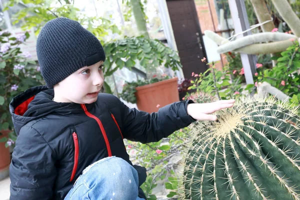 クリミアのNikitsky植物園の温室でサボテンに触れる子供 — ストック写真