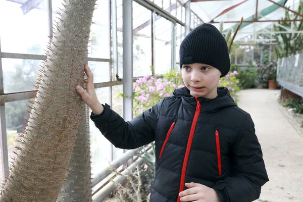 Kid Touching Cactus Greenhouse Nikitsky Botanical Garden Crimea — Stock Photo, Image