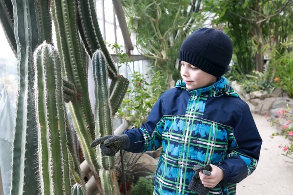 克里米亚Nikitsky植物园温室里的孩子 — 图库照片