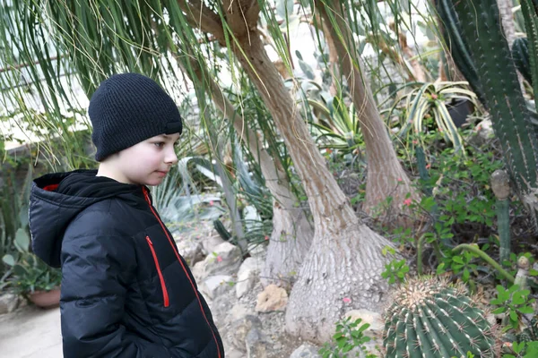 Dziecko Szklarni Nikickiego Ogrodu Botanicznego Krym — Zdjęcie stockowe