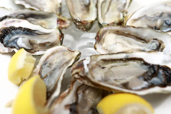 Kırım istiridyelerinin restoranda buzlu tabakta görüntüsü