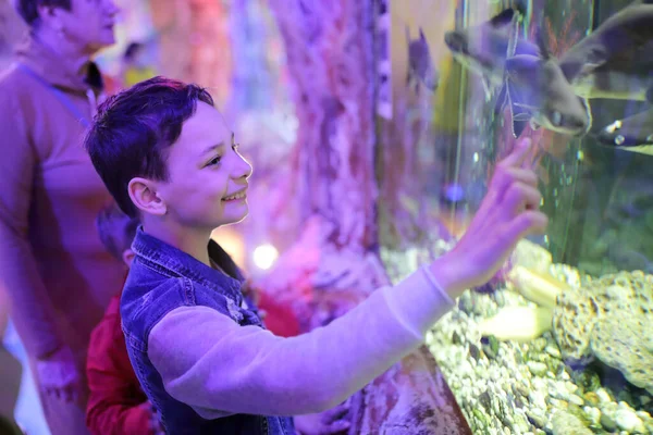 水族館で熱帯魚を見て好奇心旺盛な少年 — ストック写真